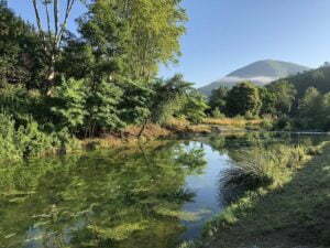 vissen in de rivier camping Rennes-les-Bains