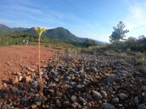 wandelen Rennes-les-Bains camping